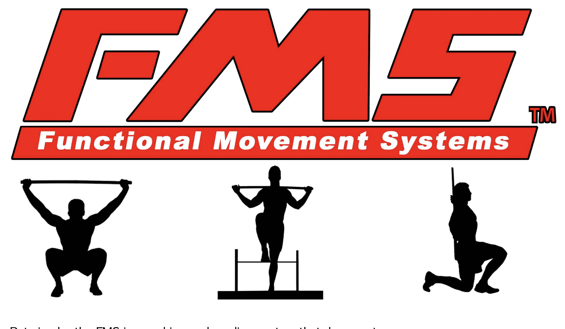 FMS logo with "Functional Movement Systems" text, featuring silhouettes of individuals performing strength exercises, emphasizing fitness for older adults.